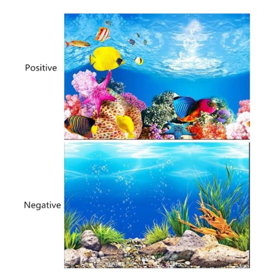 水族館背景貼紙 3d雙面粘牆紙坦克裝飾照片水在水背景圖像裝飾 水槽の背景ステッカー 3d両面粘着壁紙水槽装飾写真水中背景画像の装飾